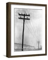 Telephone Poles in Snowy Weather-null-Framed Photographic Print
