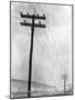 Telephone Poles in Snowy Weather-null-Mounted Photographic Print