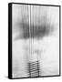 Telephone Wires, Mexico, 1925-Tina Modotti-Framed Stretched Canvas