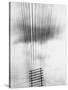 Telephone Wires, Mexico, 1925-Tina Modotti-Stretched Canvas