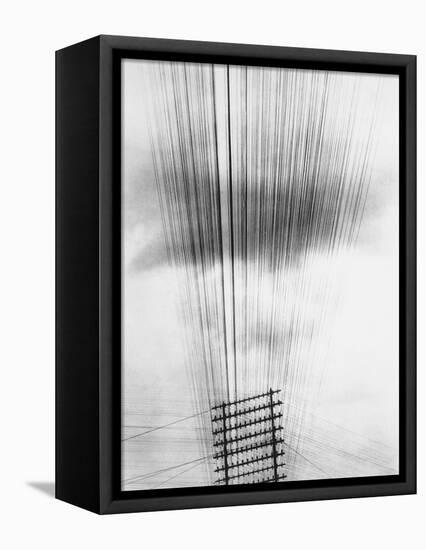 Telephone Wires, Mexico, 1925-Tina Modotti-Framed Stretched Canvas