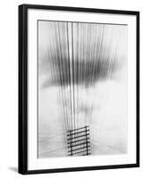 Telephone Wires, Mexico, 1925-Tina Modotti-Framed Giclee Print