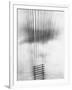 Telephone Wires, Mexico, 1925-Tina Modotti-Framed Giclee Print