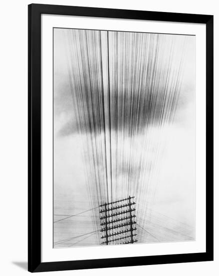 Telephone Wires, Mexico, 1925-Tina Modotti-Framed Giclee Print
