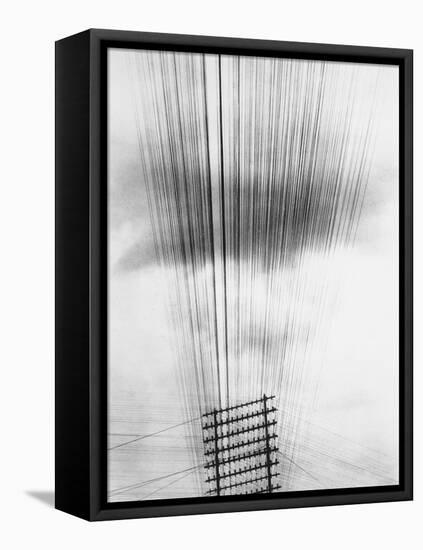 Telephone Wires, Mexico, 1925-Tina Modotti-Framed Stretched Canvas