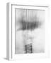 Telephone Wires, Mexico, 1925-Tina Modotti-Framed Giclee Print