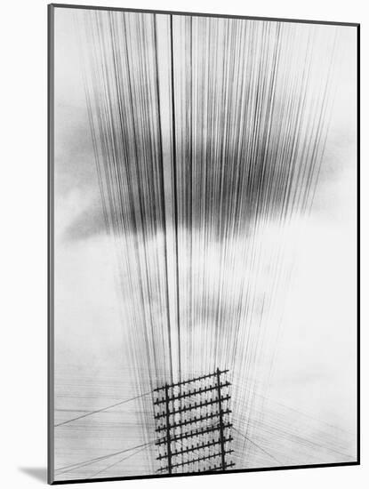 Telephone Wires, Mexico, 1925-Tina Modotti-Mounted Giclee Print