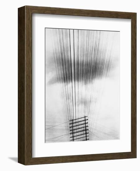 Telephone Wires, Mexico, 1925-Tina Modotti-Framed Giclee Print