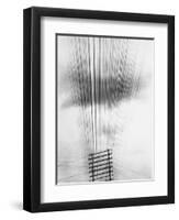 Telephone Wires, Mexico, 1925-Tina Modotti-Framed Giclee Print