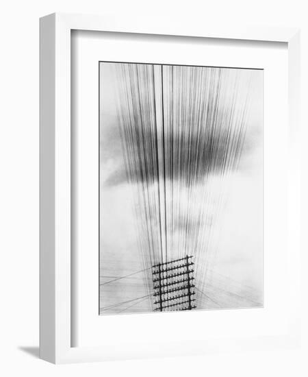 Telephone Wires, Mexico, 1925-Tina Modotti-Framed Giclee Print