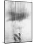 Telephone Wires, Mexico, 1925-Tina Modotti-Mounted Giclee Print