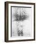 Telephone Wires, Mexico, 1925-Tina Modotti-Framed Premium Giclee Print