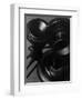 Telephone-null-Framed Premium Photographic Print