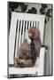 Telephoning Baboon-DLILLC-Mounted Photographic Print