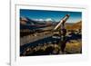 Telescope and Mount Denali in distance, Denali National Park, Alaska-null-Framed Photographic Print