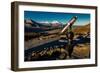 Telescope and Mount Denali in distance, Denali National Park, Alaska-null-Framed Photographic Print