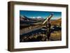 Telescope and Mount Denali in distance, Denali National Park, Alaska-null-Framed Photographic Print