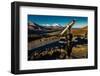 Telescope and Mount Denali in distance, Denali National Park, Alaska-null-Framed Photographic Print