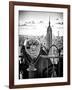 Telescope on the Obervatoire Deck, Top on the Rock at Rockefeller Center, Manhattan, New York-Philippe Hugonnard-Framed Photographic Print