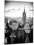 Telescope on the Obervatoire Deck, Top on the Rock at Rockefeller Center, Manhattan, New York-Philippe Hugonnard-Mounted Art Print