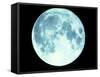 Telescope Photo of Full Moon From Earth-Dr. Fred Espenak-Framed Stretched Canvas