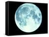 Telescope Photo of Full Moon From Earth-Dr. Fred Espenak-Framed Stretched Canvas