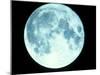 Telescope Photo of Full Moon From Earth-Dr. Fred Espenak-Mounted Premium Photographic Print