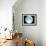 Telescope Photo of Full Moon From Earth-Dr. Fred Espenak-Framed Photographic Print displayed on a wall