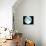 Telescope Photo of Full Moon From Earth-Dr. Fred Espenak-Mounted Photographic Print displayed on a wall