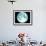 Telescope Photo of Full Moon From Earth-Dr. Fred Espenak-Framed Photographic Print displayed on a wall