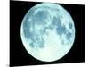 Telescope Photo of Full Moon From Earth-Dr. Fred Espenak-Mounted Photographic Print