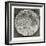 Telescopic Appearance of the Moon 1833-null-Framed Giclee Print