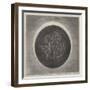 Telescopic View of the Annular Eclipse of the Sun-null-Framed Giclee Print