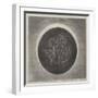 Telescopic View of the Annular Eclipse of the Sun-null-Framed Giclee Print