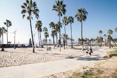 Venice Beach, Los Angeles-telesniuk-Photographic Print