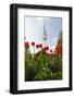 Television Tower, Heinrich Hertz Tower, Tulips, Botanical Garden, Planten Un Blomen-Axel Schmies-Framed Photographic Print