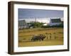 Telgruc-Sur-Mer, Crozon Peninsula, Finistere, Brittany, France-David Hughes-Framed Photographic Print