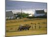 Telgruc-Sur-Mer, Crozon Peninsula, Finistere, Brittany, France-David Hughes-Mounted Photographic Print