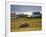 Telgruc-Sur-Mer, Crozon Peninsula, Finistere, Brittany, France-David Hughes-Framed Photographic Print