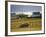 Telgruc-Sur-Mer, Crozon Peninsula, Finistere, Brittany, France-David Hughes-Framed Photographic Print