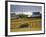 Telgruc-Sur-Mer, Crozon Peninsula, Finistere, Brittany, France-David Hughes-Framed Photographic Print