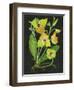 Telipogon Caulescens II-Melissa Wang-Framed Art Print