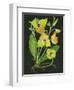 Telipogon Caulescens II-Melissa Wang-Framed Art Print