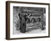 Telling the Bees-J.p. Davis-Framed Photographic Print