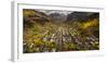 Telluride, Colorado: Autumn In The Rocky Mountains As Seen From The Air-Ian Shive-Framed Photographic Print