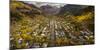 Telluride, Colorado: Autumn In The Rocky Mountains As Seen From The Air-Ian Shive-Mounted Photographic Print