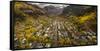 Telluride, Colorado: Autumn In The Rocky Mountains As Seen From The Air-Ian Shive-Framed Stretched Canvas