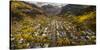 Telluride, Colorado: Autumn In The Rocky Mountains As Seen From The Air-Ian Shive-Stretched Canvas