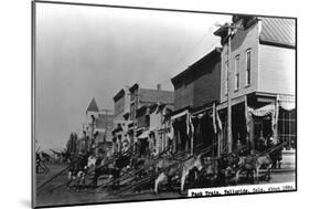 Telluride, Colorado - View of a Pack Train-Lantern Press-Mounted Art Print