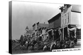 Telluride, Colorado - View of a Pack Train-Lantern Press-Stretched Canvas